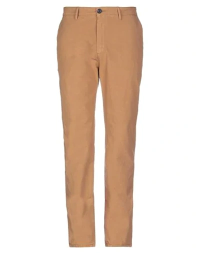 Shop Elvine Casual Pants In Apricot