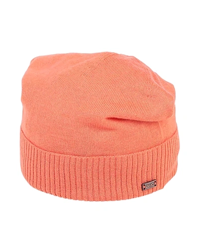 Shop Liu •jo Man Hats In Salmon Pink