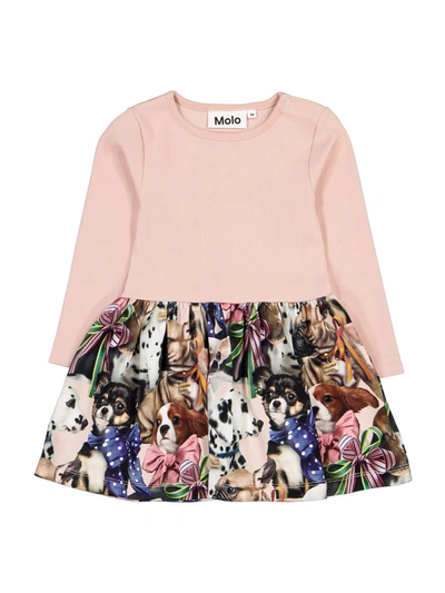 Shop Molo Kids Dress Carel For Girls In Rose