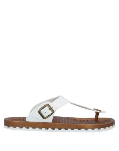 Sensi Flip Flops In White