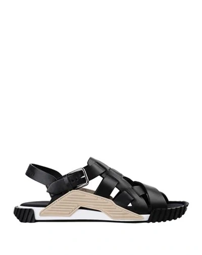 Dolce & Gabbana Ns1 Sandals In Cowhide In Black-desert | ModeSens