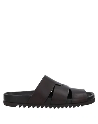 Shop Rick Owens Sandals In Dark Brown