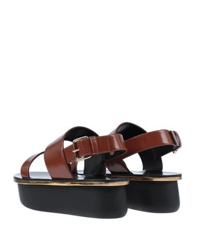 Shop Marni Woman Sandals Brown Size 10 Soft Leather