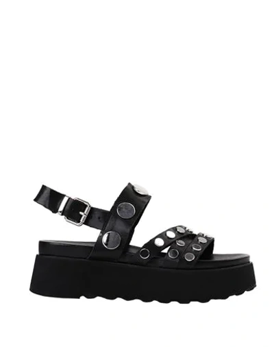 Shop Cult Sandals In Black