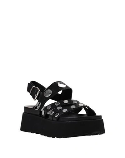 Shop Cult Sandals In Black