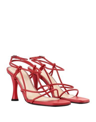 Shop Proenza Schouler Woman Sandals Red Size 6 Soft Leather