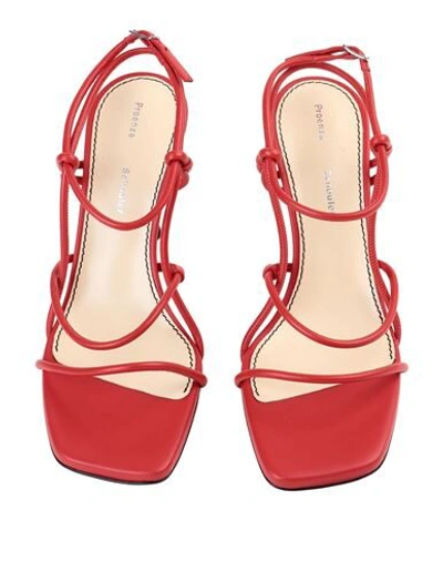 Shop Proenza Schouler Woman Sandals Red Size 6 Soft Leather