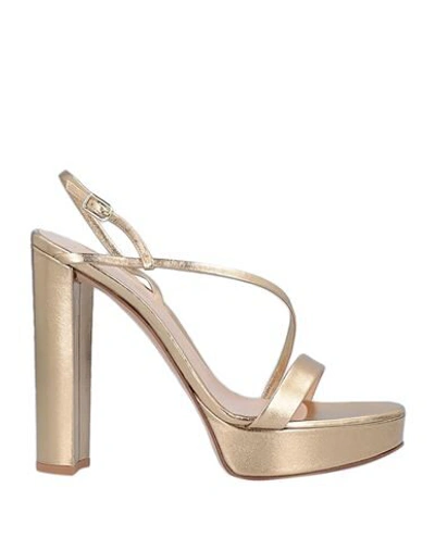 Shop Gianvito Rossi Woman Sandals Gold Size 11 Soft Leather