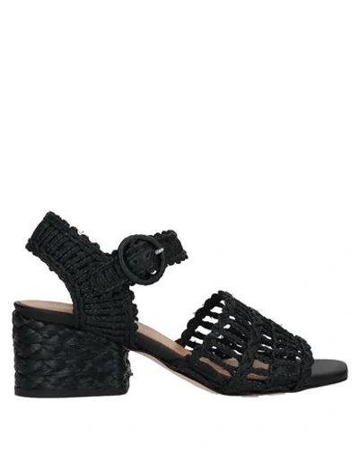 Shop Paloma Barceló Woman Sandals Black Size 6 Natural Raffia