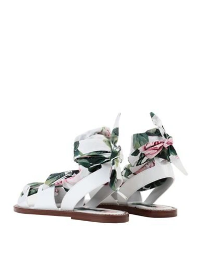 Dolce & Gabbana Sandals In White