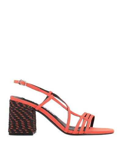 Shop 67 Sixtyseven Woman Sandals Orange Size 5 Textile Fibers