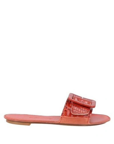 Shop Definery Sandals In Brick Red