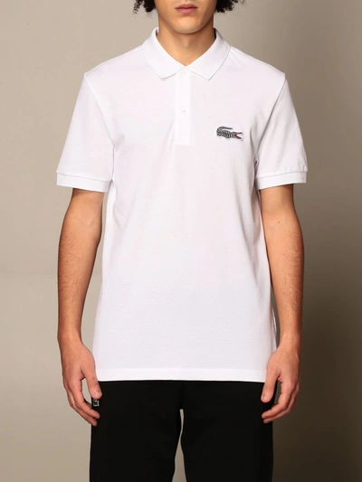 Shop Lacoste National Geographic Polo Shirt With Animalier Logo In White