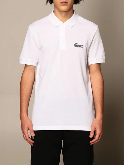 National geographic polo shirt hot sale