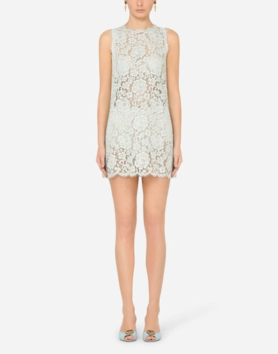 Shop Dolce & Gabbana Short Lace Dress