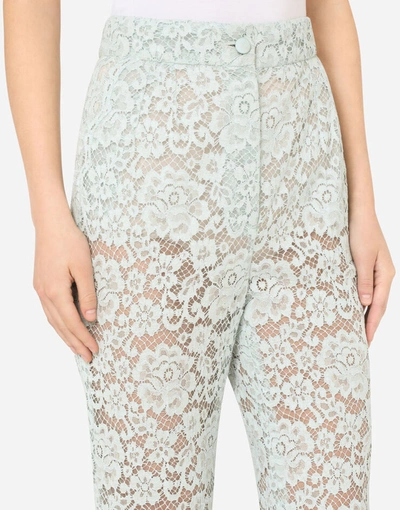 Shop Dolce & Gabbana Lace Pants In Azure