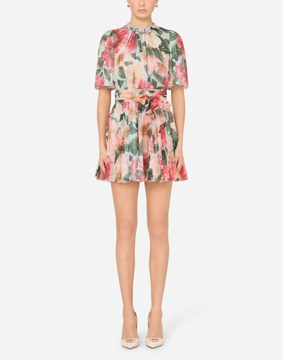 Shop Dolce & Gabbana Short Camellia-print Chiffon Dress