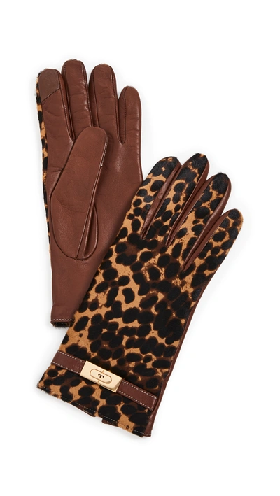 Shop Tory Burch Leopard Lee Lock Gloves In Barbados Leopard