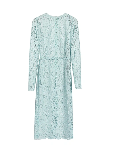 Shop Dolce & Gabbana Lace Sheath Dress In Blue