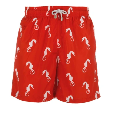 Shop Robert & Son Beachwear Ltd Red Seahorse Swim Shorts
