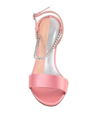 Shop Alchimia Di Ballin Sandals In Pink