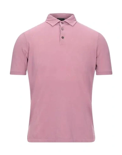 Shop Zanone Polo Shirts In Pastel Pink