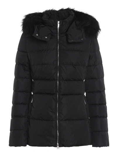 Shop Add Black Quilted Short Puffer Jacket