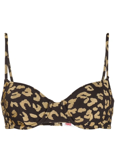 Shop Solid & Striped Leopard Print Bikini Top In Brown