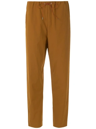 Shop Egrey Elo Straight Trousers In Brown