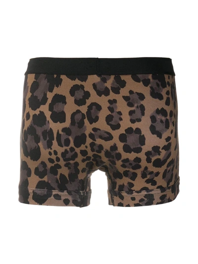 Tom Ford Velvet-trimmed Leopard-print Stretch-silk Boxer Shorts In Brown