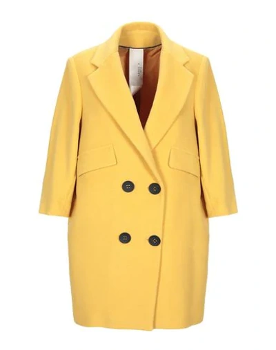Shop Annie P Coat In Yellow