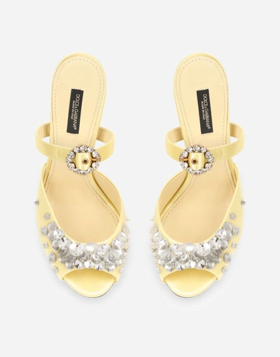 Shop Dolce & Gabbana Satin Mules With Bejeweled Embellishment In Multicolor