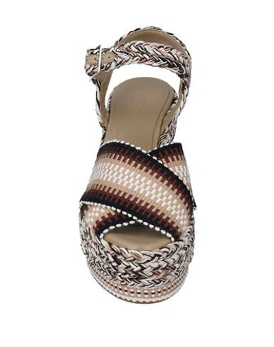 Shop Antolina Paris Sandals