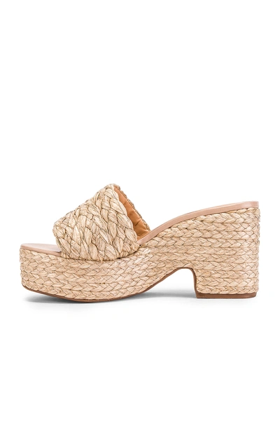 Shop Raye Gable Wedge In Neutral