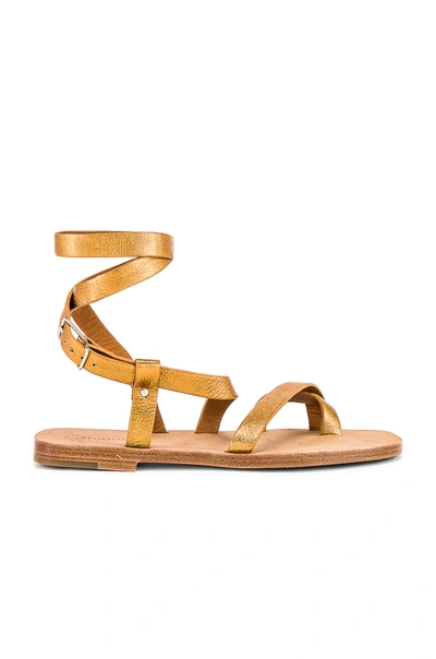 Shop Alumnae Gladiator Capri Sandal In Metallic Bronze