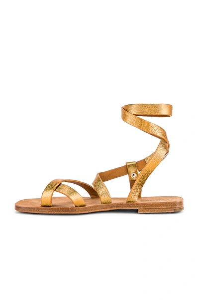 Shop Alumnae Gladiator Capri Sandal In Metallic Bronze