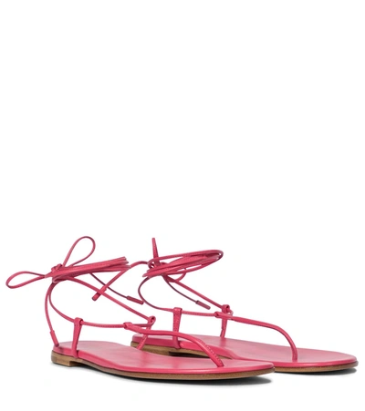 Shop Gianvito Rossi Gwyneth Leather Thong Sandals In Pink