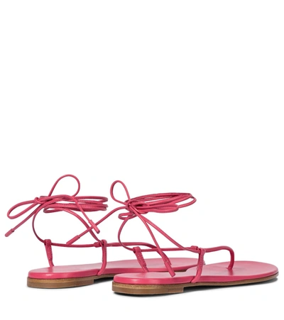 Shop Gianvito Rossi Gwyneth Leather Thong Sandals In Pink