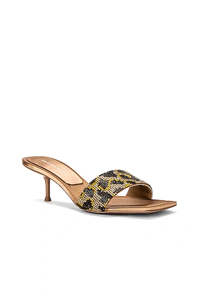 Shop Alexander Wang Jessie Leopard Crystal Sandal