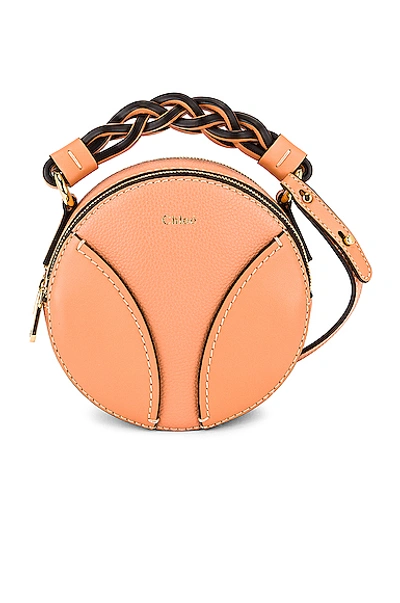 Shop Chloé Mini Daria Round Bag In Peach Bloom