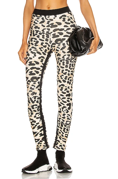 Shop Rabanne Printed Legging In Leopard