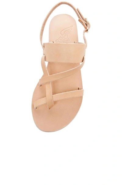 Shop Ancient Greek Sandals Alethea Calfskin Leather Sandals In Neutrals. In Natural