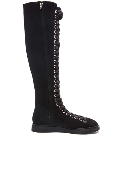 Shop Alexander Wang Emmanuel Suede High Lace Up Boots In Black