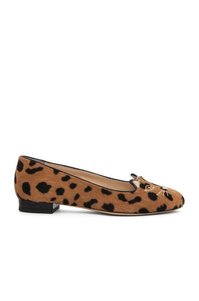 Shop Charlotte Olympia Kitty Calf Hair Flats In Hyena In Hyena Print