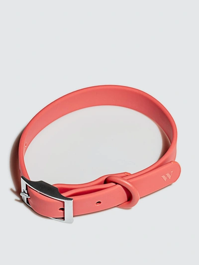 Shop Wild One Collar In Red
