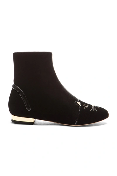Shop Charlotte Olympia Puss In Boots Velvet Booties In Black