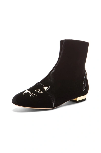 Shop Charlotte Olympia Puss In Boots Velvet Booties In Black