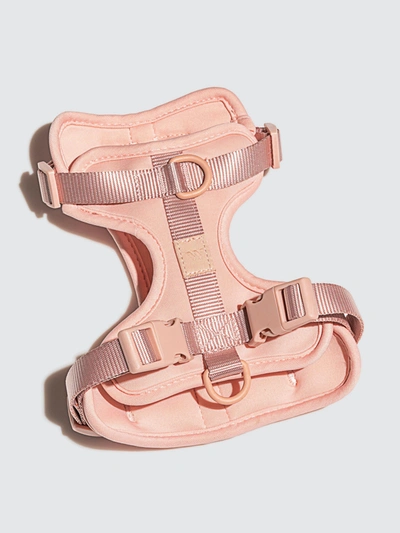 Shop Wild One Harness In Pink