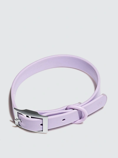Shop Wild One Collar In Purple