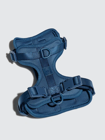 Shop Wild One Harness In Blue